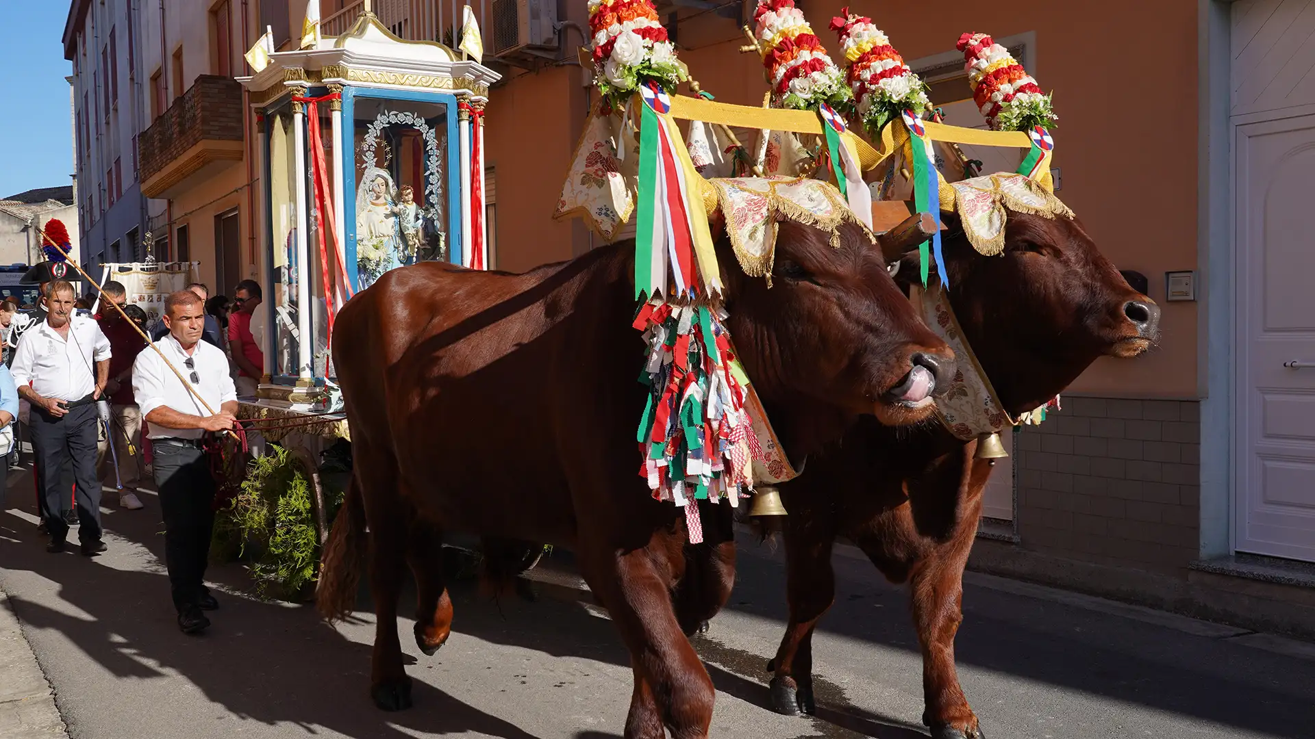 Festa di San Basilio 2025